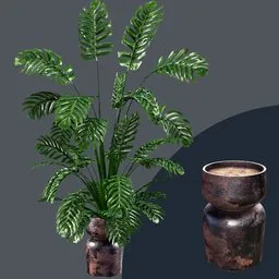 Realistic Monstera plant 3D model with detailed PBR vase and soil, perfect for Blender indoor nature scenes.