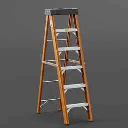 Folding Ladder