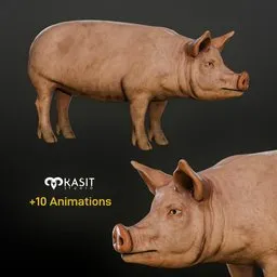 Pig Animated Rigged