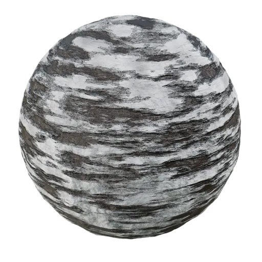 Seamless white birch bark texture for 3D PBR material in Blender, detailed for realistic displacement and bump mapping.
