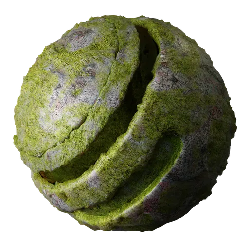 Rugged Rock Moss
