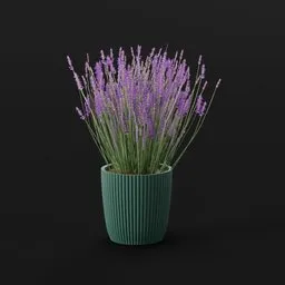 Lavender Flower Lrg Pot