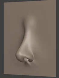 Female Nose Stylised