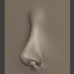 Female Nose Stylised