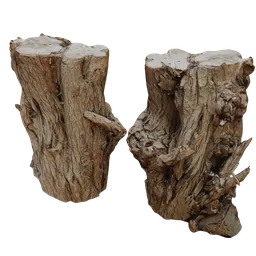 Detailed texture and high-quality 3D rendered tree stump for Blender, ideal for natural scene modeling.
