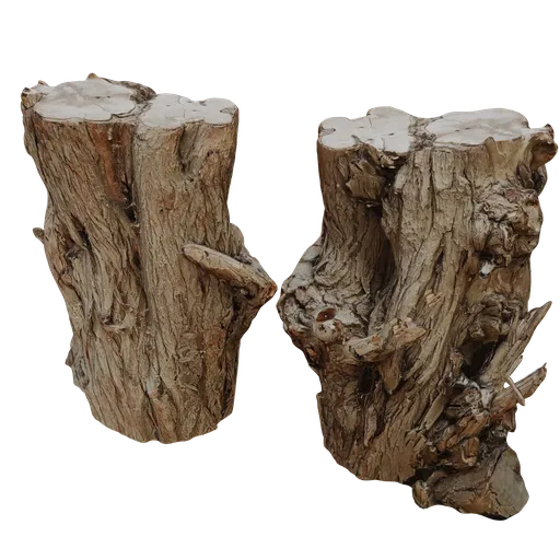 Detailed texture and high-quality 3D rendered tree stump for Blender, ideal for natural scene modeling.