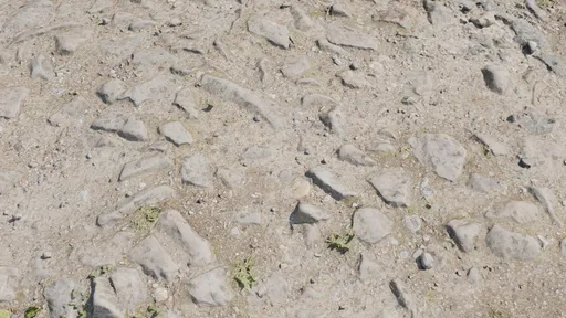 Detailed 3D rock surface texture for Blender modeling, high-resolution photogrammetry scan.