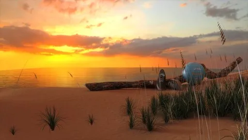 Evening beach shore