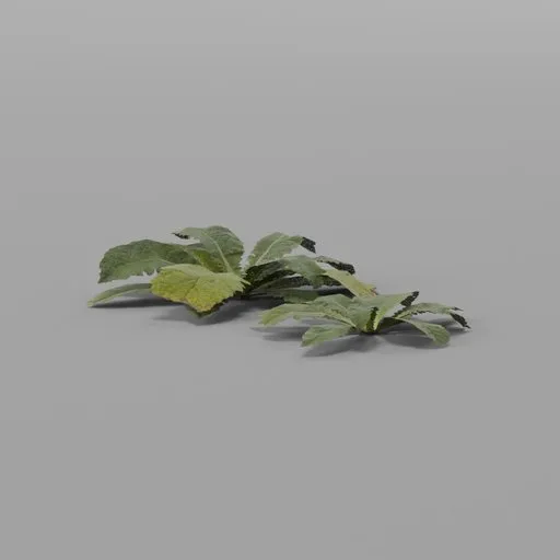 Broad leaf patch