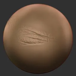 ER_Human Skin(V) 105