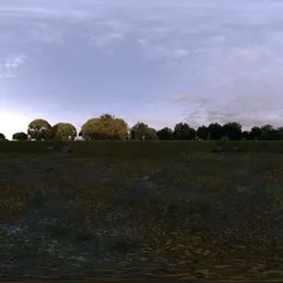 Garden Fall Backdrop Morning