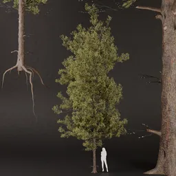 SJ-Frosted Evergreen Pine Tree