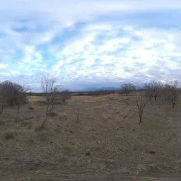 Old Tree Plantations