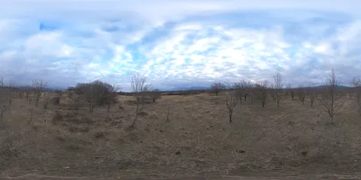 Old Tree Plantations