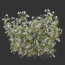 Flowering Bush Plant Collection