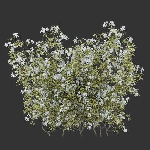 Flowering Bush Plant Collection