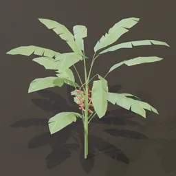 Heliconia Lobster Claw Plant Med