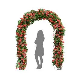 Climbing Roses Garden Bow Red