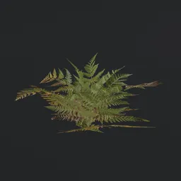 "Small Fern c1 3D model for Blender 3D - game ready with PBR textures, featuring low polygon effect and inspired by artist Vija Celmins. Camouflaged gear and modular design, perfect for immersive gameplay. Available on BlenderKit under the tree category."