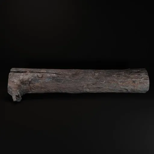 Realistic old wooden log