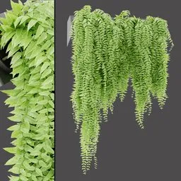 Leafy Hanging Cluster