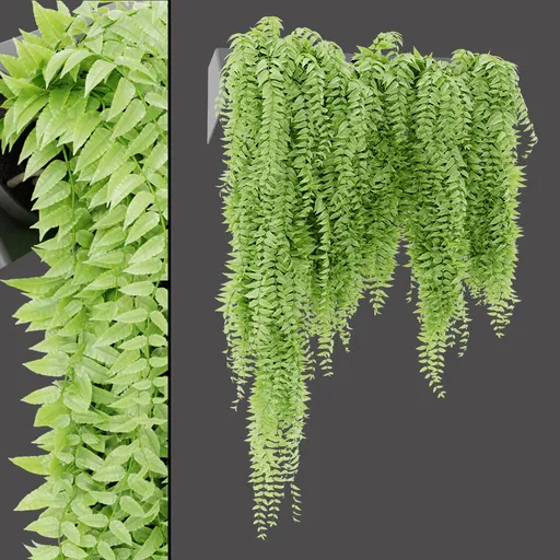 Leafy Hanging Cluster