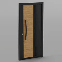 Modern Door