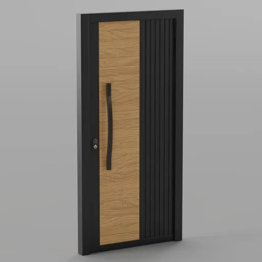 Modern Door