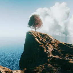 Cinematic Coastal Cliff – Lone Tree