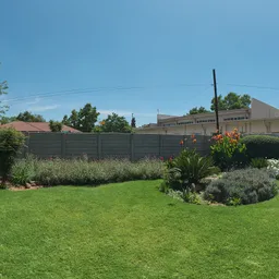 Suburban Garden