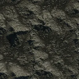 Wet Rock Terrain