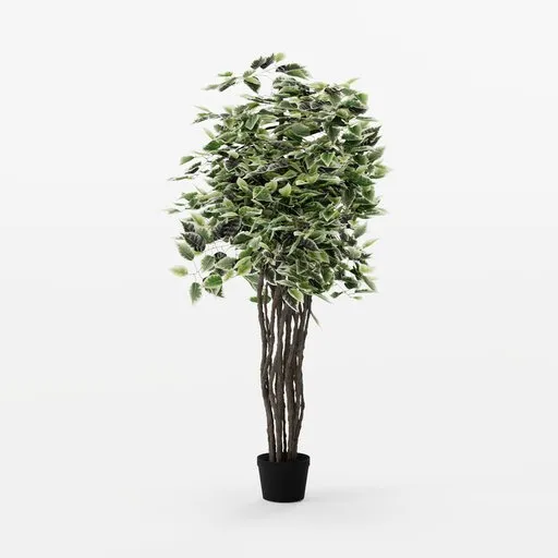 Highly detailed Blender 3D model of an artificial Ficus tree, customizable foliage, suitable for indoor visualization.