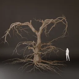 SJ-Forest Scene Dead Tree