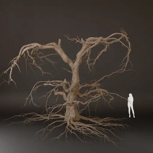 SJ-Forest Scene Dead Tree