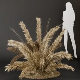 SJ- Pampas Modern Aura Bush