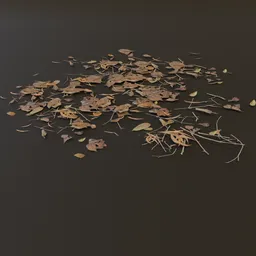 Debris Dry Leaves Pile GN