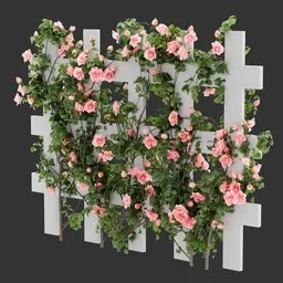Flowering Divider Fence Climber Plant