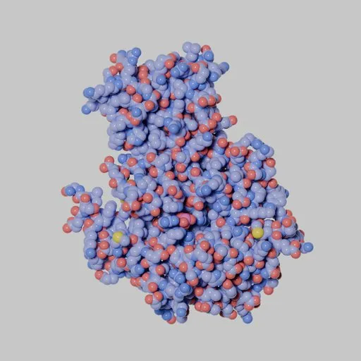 DNA Polymerase