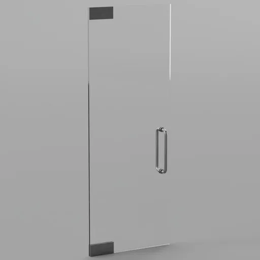 Frameless Single Glass Door