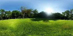 Afternoon Green Meadow 16k