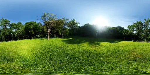Afternoon Green Meadow 16k