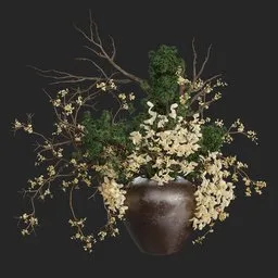 Plant