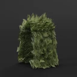 Red Cedar Hedge Straight 1M