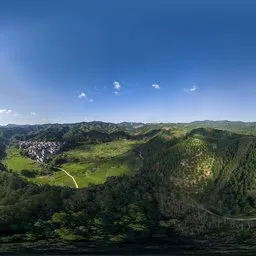 Above the daytime forest