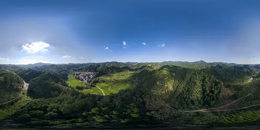 Above the daytime forest