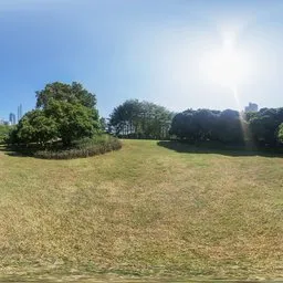 Green grass at noon 16k