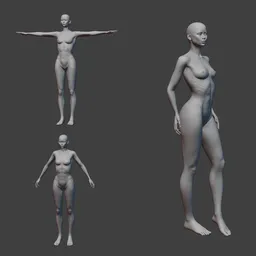 Detailed 3D African female base mesh, posed and rigged for Blender animation projects.