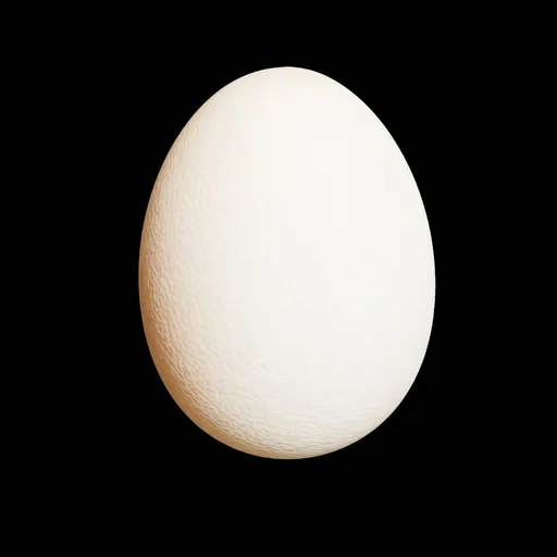 Egg