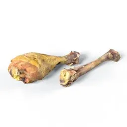 Roasted Chicken Leg and Bone