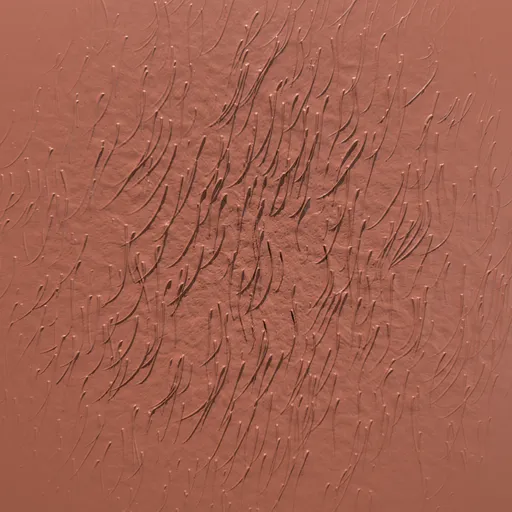 Hairy Skin Brush - 01